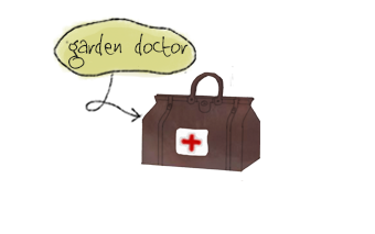 Garden doctor by lanscape gardener based in Surrey.